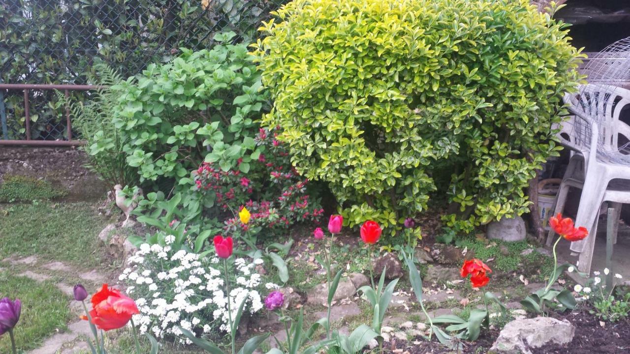 B&B Il Patio Bergamo Exteriér fotografie